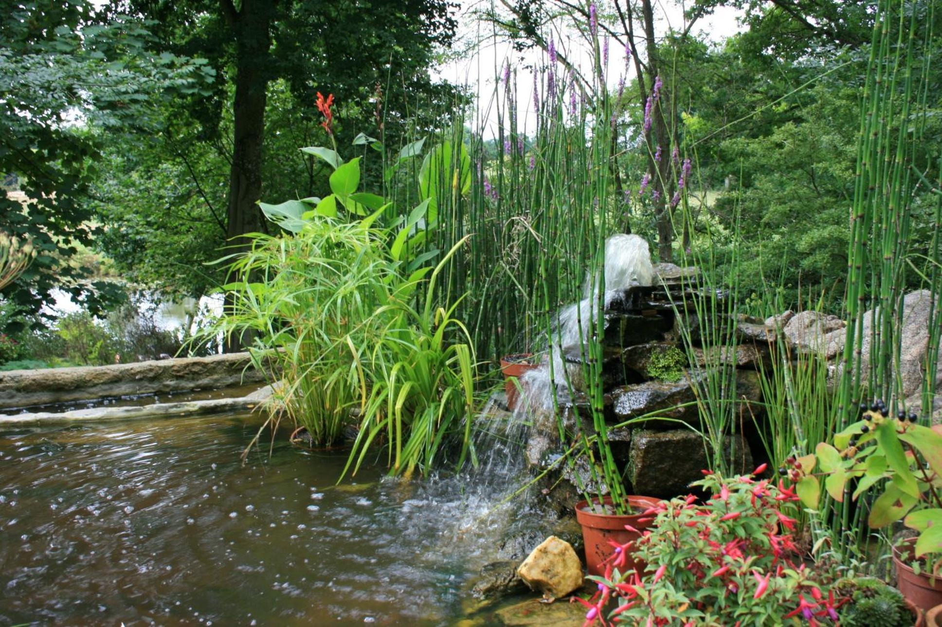 Au Pont Ricoul Bed & Breakfast Saint-Pierre-de-Plesguen Eksteriør bilde