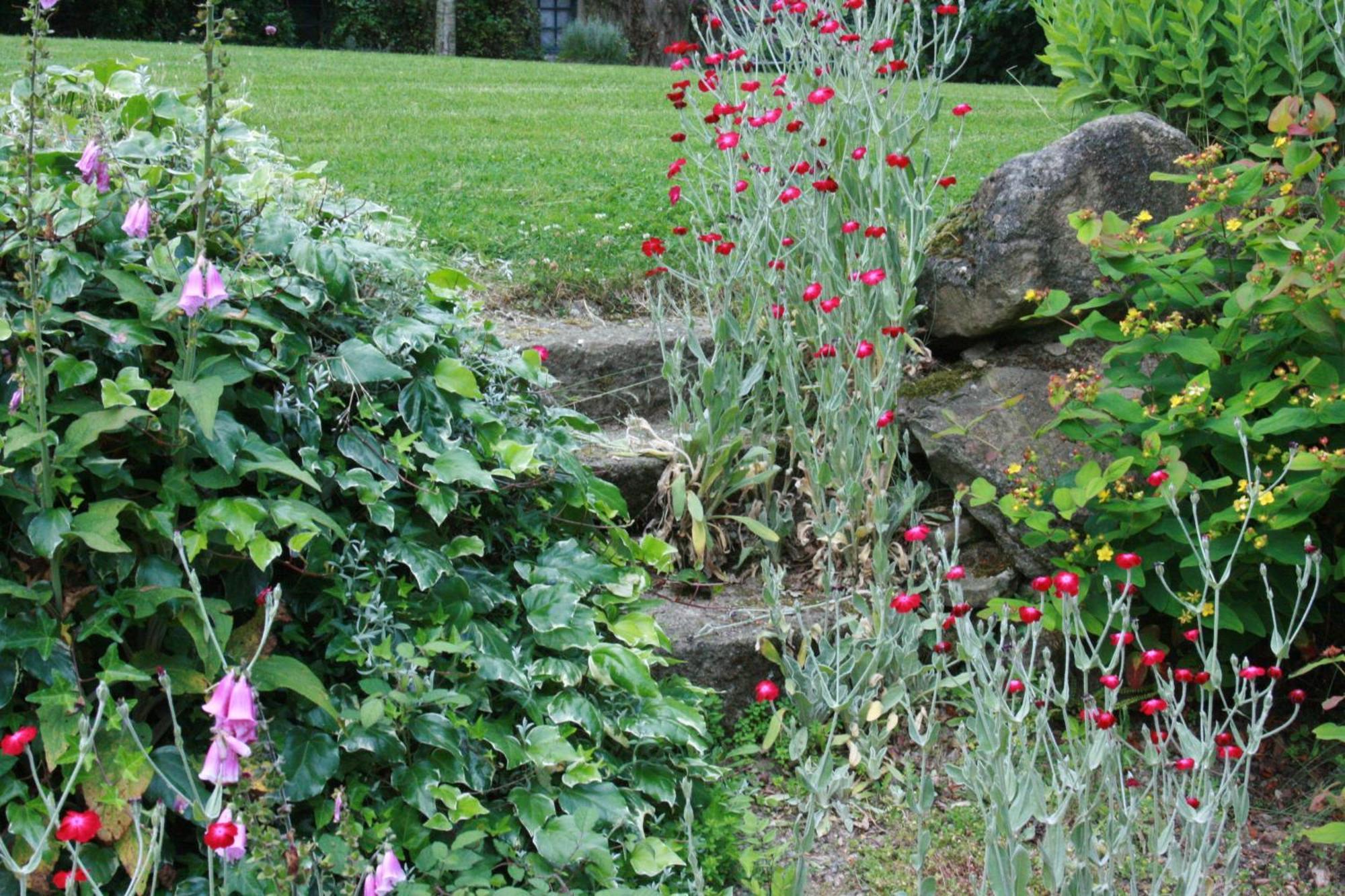 Au Pont Ricoul Bed & Breakfast Saint-Pierre-de-Plesguen Eksteriør bilde