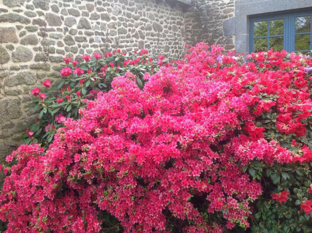 Au Pont Ricoul Bed & Breakfast Saint-Pierre-de-Plesguen Eksteriør bilde